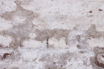 Beautiful Wallpapers for your computer. Horizontal. Close up.
