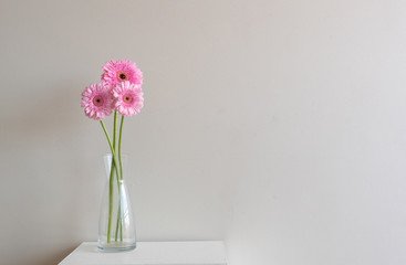 Tall pink gerberas on small table