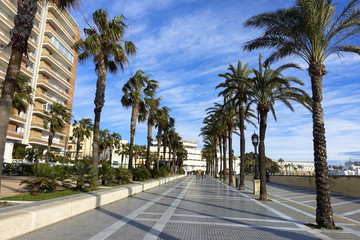 Fototapeta na wymiar nice long palms avenue park at Cadiz, Spain, Andalusia, Campo del Sur