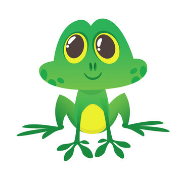 A frog is sitting on a white background. Isolated illustration frog in a cartoon style.