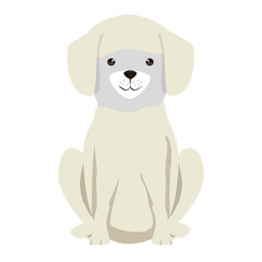 cute dog breed character vector illustration design
