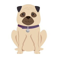 cute dog breed character vector illustration design