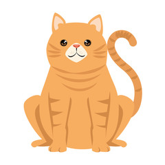 cute cat mascot character vector illustration design