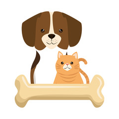 Fototapeta na wymiar cute dog and cat with bone characters vector illustration design