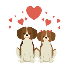 cute dogs couple lovers with hearts characters vector illustration design