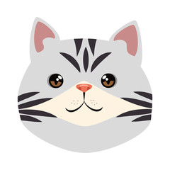 Fototapeta na wymiar cute cat mascot head character vector illustration design
