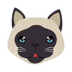 cute cat mascot head character vector illustration design