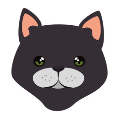 cute cat mascot head character vector illustration design