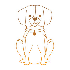 Fototapeta premium cute dog breed character vector illustration design