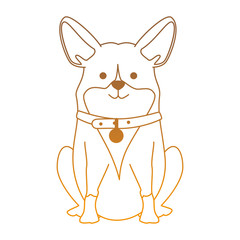 cute dog breed character vector illustration design