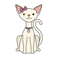 cute cat mascot character vector illustration design