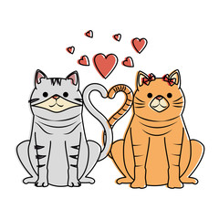 Fototapeta na wymiar cute couple cats mascots with hearts characters vector illustration design