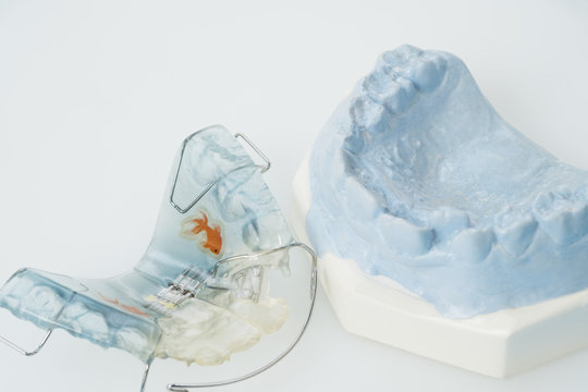 Dental  retainer orthodontic appliance on the white background.