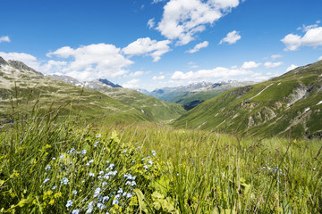 Obraz premium Schweizer Berglandschaft im Frühling bei bewölktem Himmel mit Bergpanorama