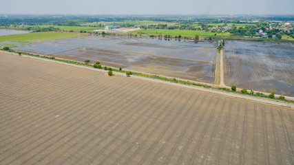 Aerial  view from flying drone of  Field rice  with landscape green pattern nature background / top view field rice