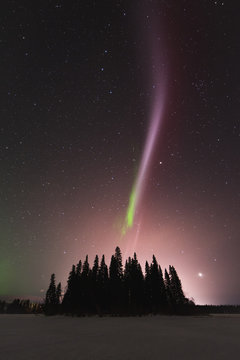 The Northern Lights and atmospheric phenomenon 'STEVE' which appears as a purple and green light ribbon in the sky. 'STEVE' is caused by a 25 km wide ribbon of hot gases at an altitude of 450 km