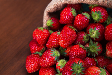 麻袋から溢れる沢山の新鮮なイチゴ