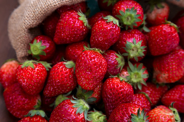 麻袋から溢れる沢山の新鮮なイチゴ