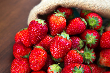 麻袋から溢れる沢山の新鮮なイチゴ