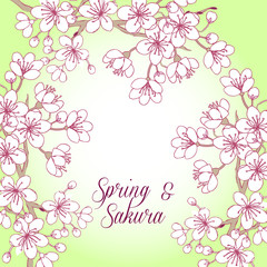 Background with sakura. Hand drawn spring blossom trees