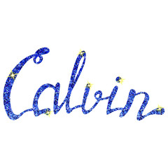 Calvin name lettering tinsels