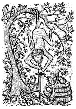 Monkey symbol with sword, books, baroque decorated tree and mystic signs. Fantasy vector illustration for t-shirt, print, card, tattoo design. Zodiac animals signs of eastern calendar