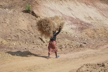 trabalhador da machamba