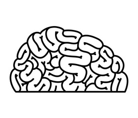 human brain organ icon
