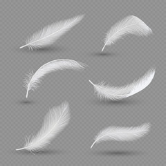 White birds feather icon set, vector realistic illustration