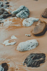 Pieces of coral reef lies on the beach in sand. Koh Rong Sanloem, Cambodia. Lazy Beach. © stockcrafter