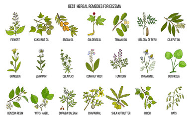 Best medicinal herbs for eczema. - obrazy, fototapety, plakaty