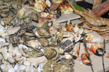 Different seafood close-up