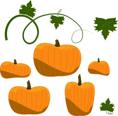 pumpkins