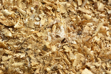 wooden sawdust, shavings, texture, background