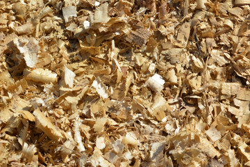wooden sawdust, shavings, texture, background