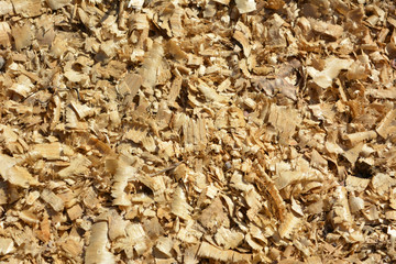 wooden sawdust, shavings, texture, background
