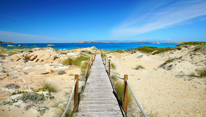 Obraz premium schöne Dünen am Sandstrand