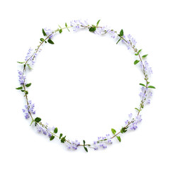 タツミナソウの花輪