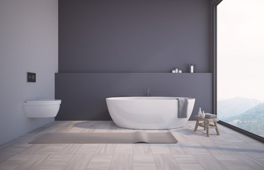 Obraz na płótnie Canvas Panoramic gray bathroom, a toilet