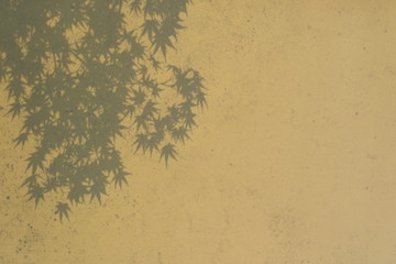もみじの葉の影 - Shadow of maple leaves