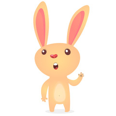 Rabbit or Easter Bunny cartoon character. Vector illustration