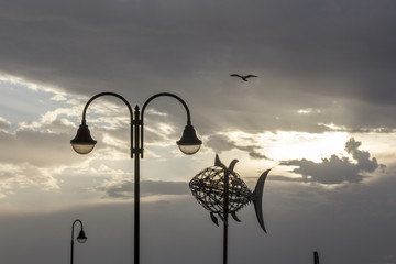 Escultura etérea de delfin © Chema