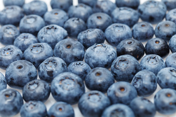 blueberry berries isolated on white background