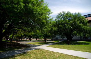 Crossroads in campus park near Blanton museum