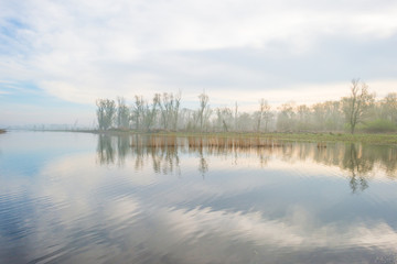 Fototapeta premium The shore of a foggy lake in sunlight in spring