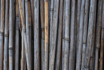 Bamboo rustic Old Fence, Texture, Wall, Background with Copy space