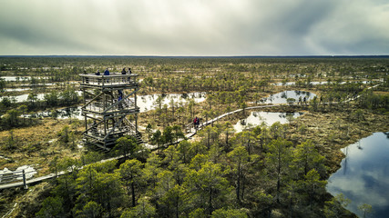 Aerial view on National park Kemeri located in Latvia. Huge bog from top view.