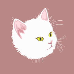 isolated cute cartoon white fur cat's portrait