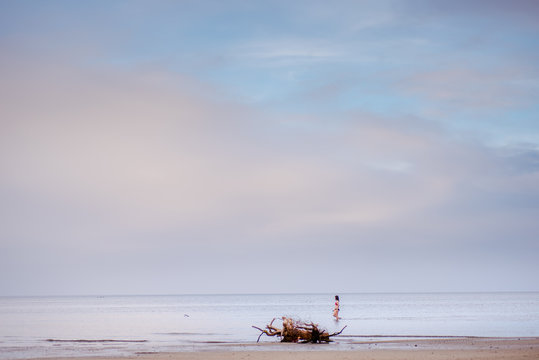 Yellow Boat