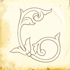 Vector baroque of vintage elements for design. 